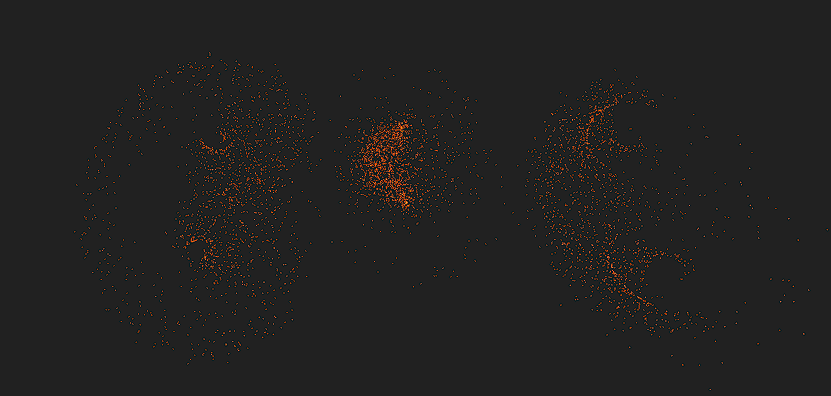 Lorenz Multi-Attractor